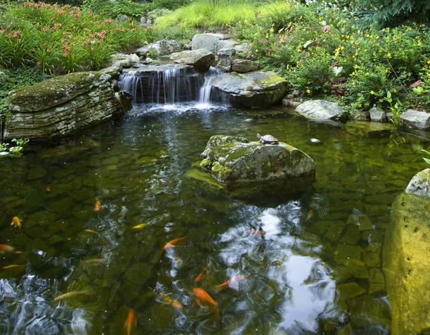 Water Body Fountain