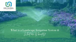 Read more about the article What Is a Landscape Irrigation System and What are its benefits?